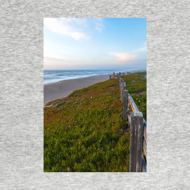 Point Reyes Beach by jvnimages